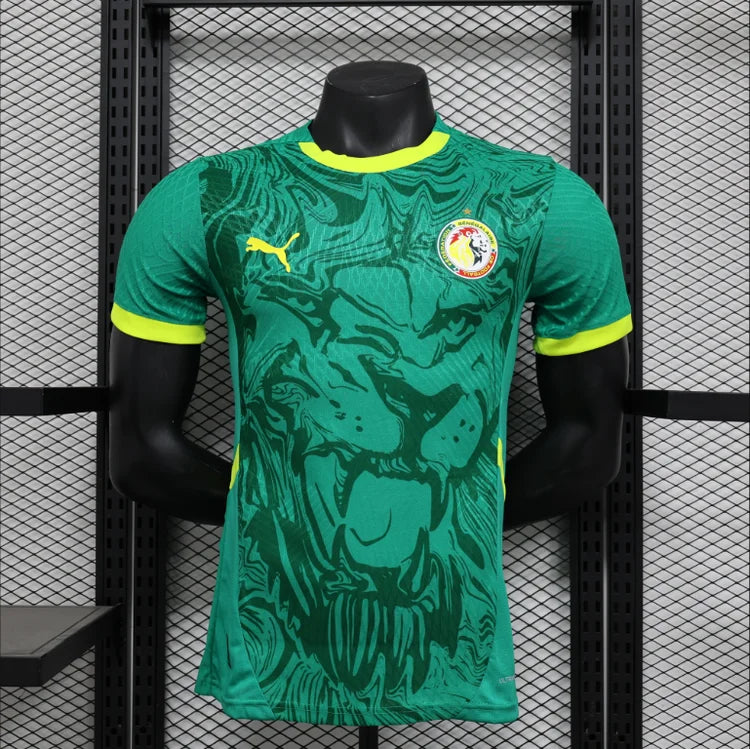 Maillots Homme Extérieur Sénégal 24/25 Vert S-XXL